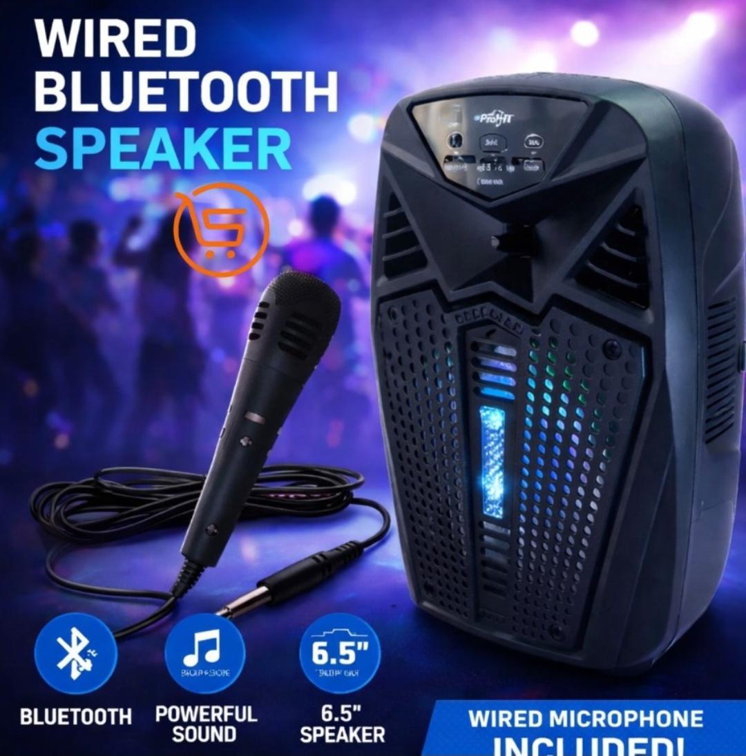 6.5 Inch Speaker with Wired Mic